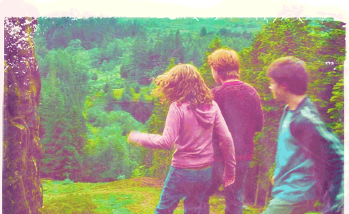 harry