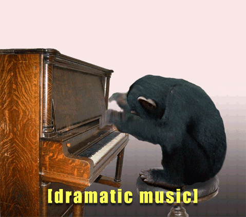  music reactions drama monkey piano GIF