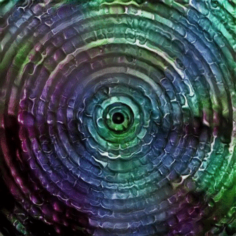art digital pixels vision GIF