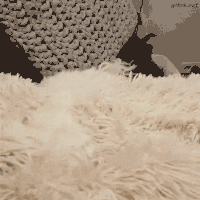 jimmy fails GIF
