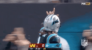 Carolina Panthers Running GIF by NFL
