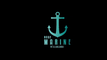 Roge Yapı İnşaat - Roge Marine GIF
