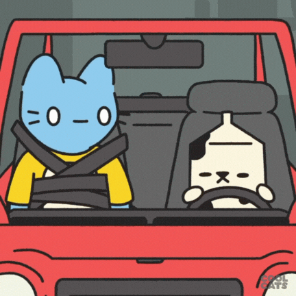Driving Car Crash GIF by Cool Cats