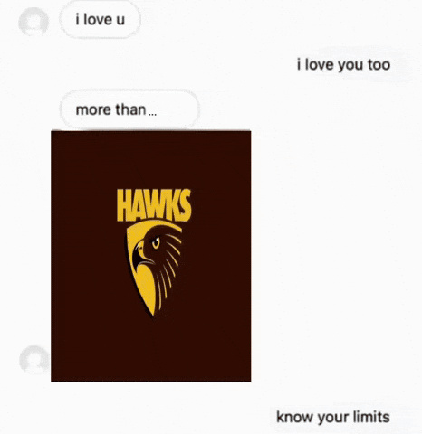 Afl Hawks GIF