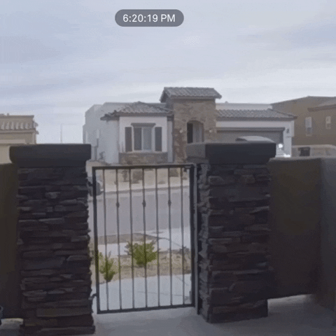 Animated GIF