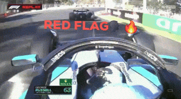 Red Flag GIF