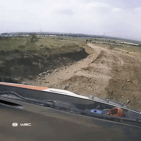 Car Driving GIF by FIA World Rally Championship