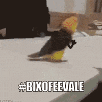 Bixo Bixofeevale GIF by Universidade Feevale