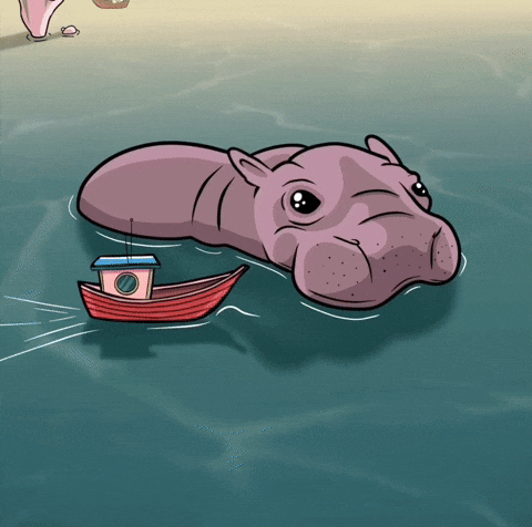 Hippo GIF