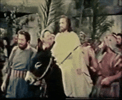 Palm Sunday Movie GIF