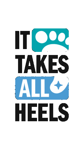 Unc Sticker by UNC-Chapel Hill