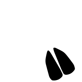 Emboo Sticker by The Brand Guys