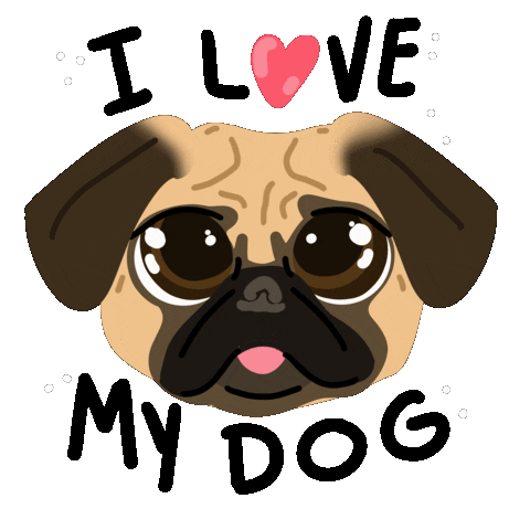 Dog Pug Sticker