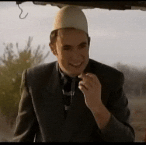 Stupcat GIF