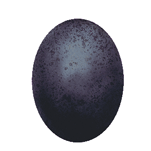 Kumma-kustannus Sticker