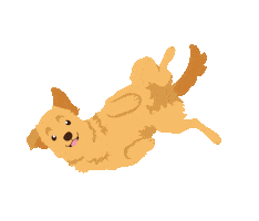 In Love Animal Nature Sticker by Orange and Peach