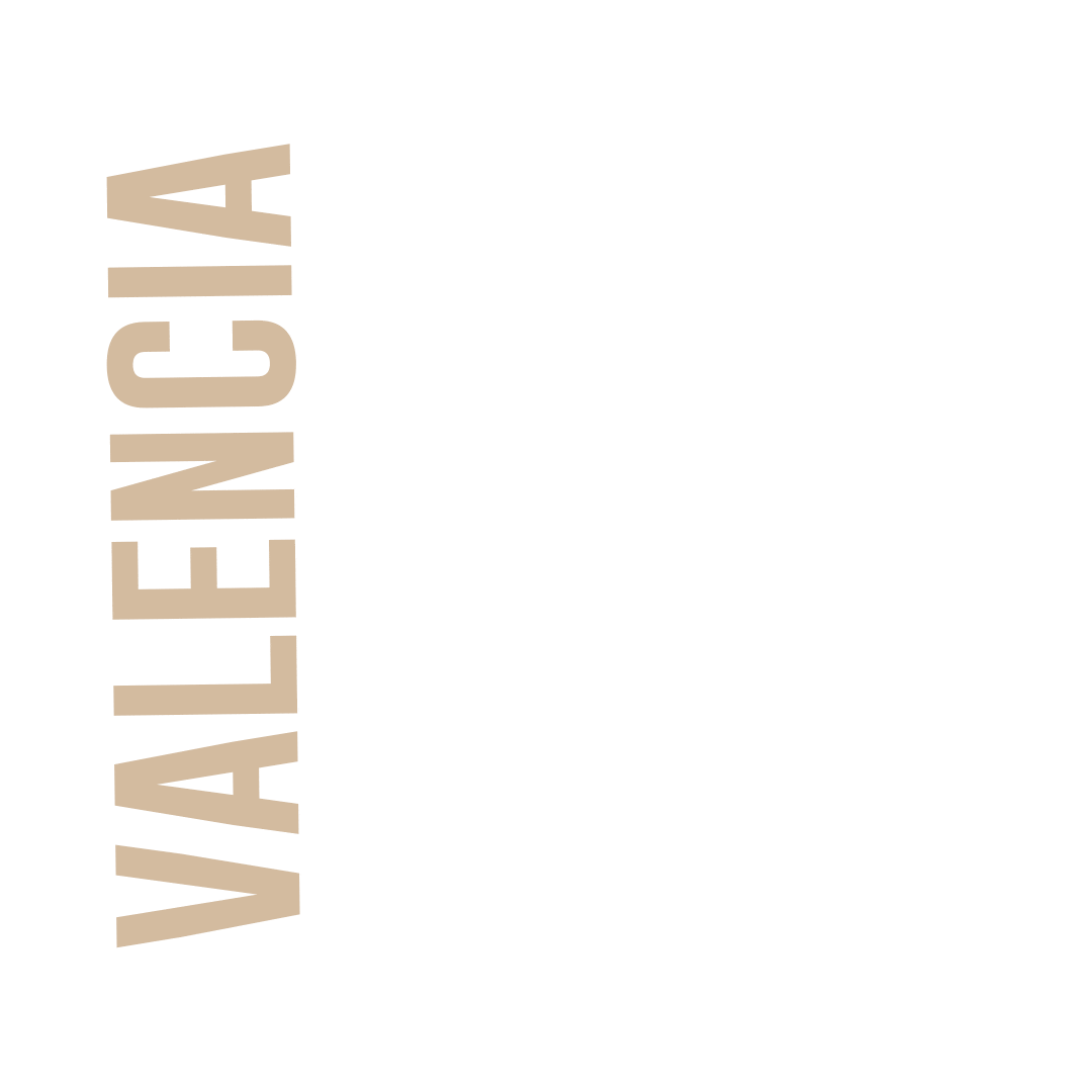 Valencia GIF by CM
