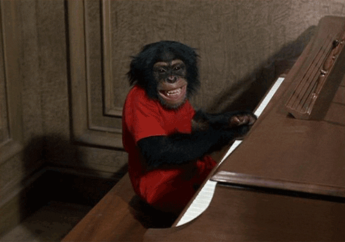 monkey piano GIF