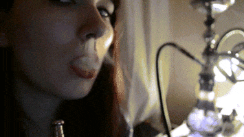 Hookah GIFs Find Share On GIPHY