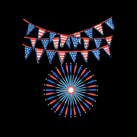 Happy 4Th Of July GIF by Maria Johnsen
