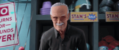 Stan Lee GIF by Spider-Man: Into The Spider-Verse