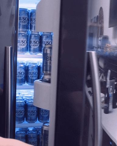 Beer GIF by Busch