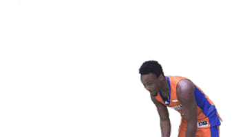 Basketball Sticker by Ontario Tech Ridgebacks