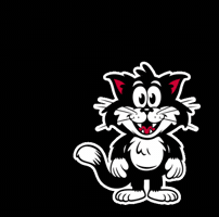Black Cat Hello GIF by Ted & Herb