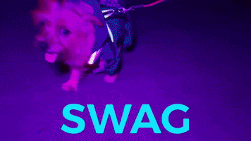 Dog Swag GIF by Chic Society