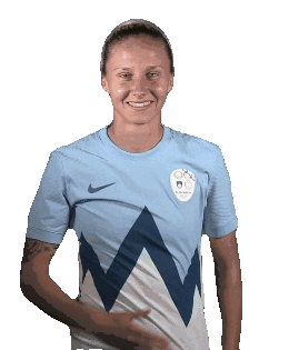 NZS | FA Slovenia Sticker