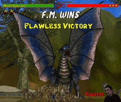 mortal kombat flawless victory scene