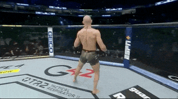 Conor Mcgregor Sport GIF by UFC