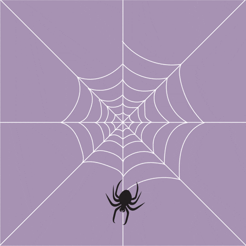 Spider Web Halloween GIF