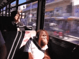Monkey Bus GIF by Romy - Find & Share on GIPHY