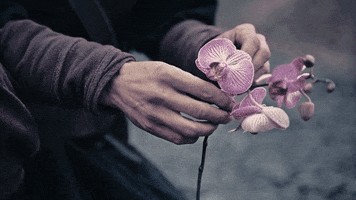 Video Island GIF by Camaze