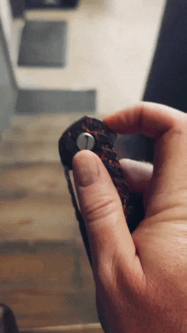 Special Edition GIF