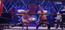 The Butcher Wrestling GIF by AEWonTV
