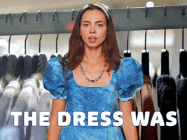 Blue Dress Debate GIF by Sealed With A GIF