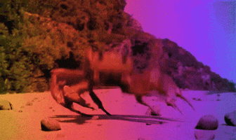 Dance GIF