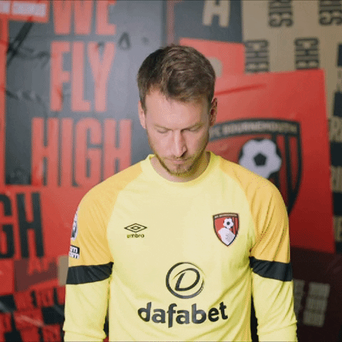Football Point GIF by AFC Bournemouth