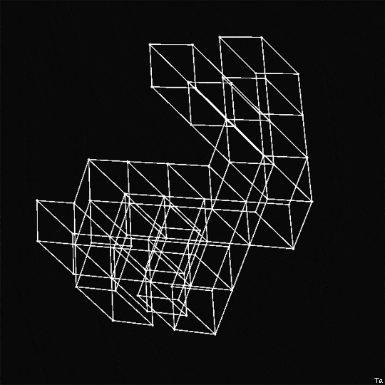 Bunny Rabbit GIF by Trevor Anderson