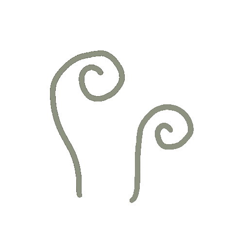 Flower 花 Sticker