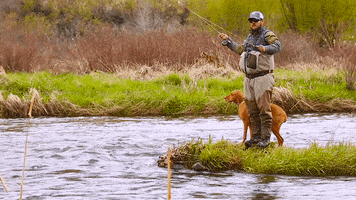 deschutes river fly fishing GIF by Travel Oregon