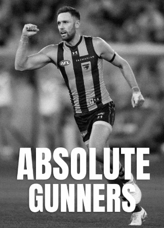 Hawthorn Hawks Afl GIF