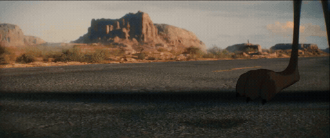 Coyote GIF