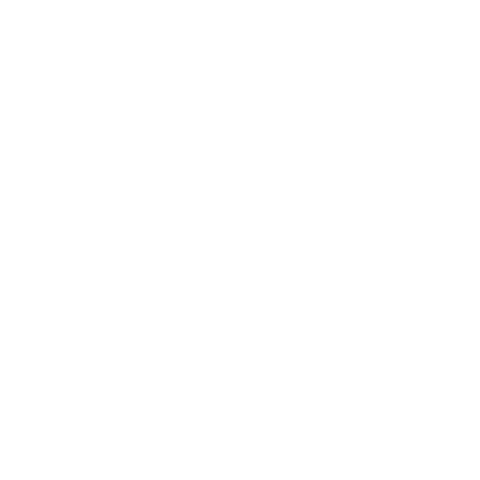 Fisheye Sticker