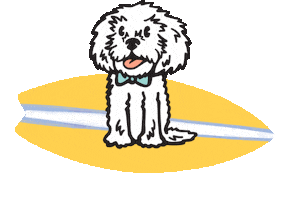 Sticker by Banjos Bows