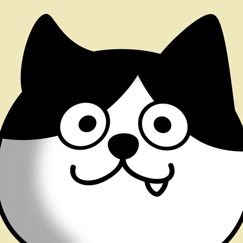 Happy Crypto GIF by Moca Network