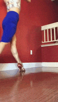 Dance Lessons GIF by Dance Insanity