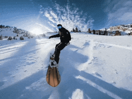 Gilson GIF